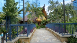 Tangaroa Terrace Drink